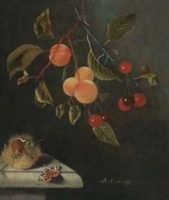 Still life with a Butterfly, Apricots, Cherries, and a Chestnut by Adriaen Coorte