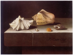 Still life with two large and three smaller shells by Adriaen Coorte