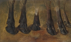 Study of six hooves by Anders Askevold