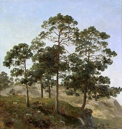 Study of Trees by Joachim Frich