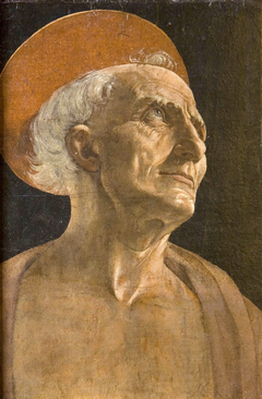 The Face of Saint Jerome by Andrea del Verrocchio