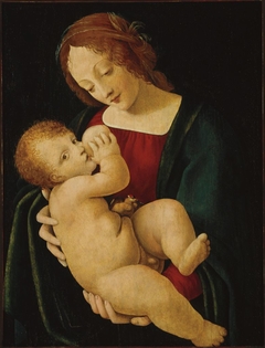 The Virgin and Child by Giovanni Antonio Boltraffio