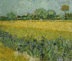 Field with Irises near Arles by Vincent van Gogh