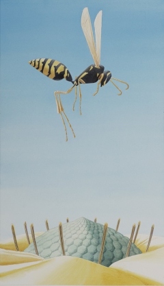 Wasp study by David Caesar