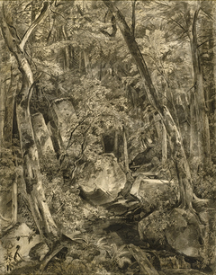 Woodland Interior by William Trost Richards