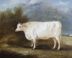 A Prize Ox in a Landscape by John Ferneley