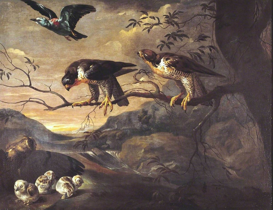 Exhibit image