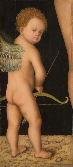 Amor by Lucas Cranach the Elder