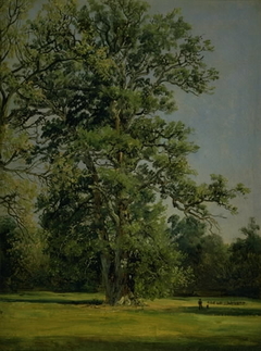 An Oak. View of the Garden at Wörlitz near Dessau by Johan Christian Dahl