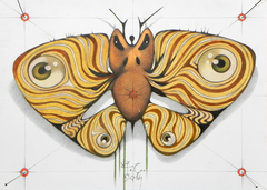 angry moth by federico cortese