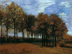 Autumn landscape