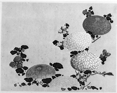 Chrysanthemums by Hokusai School