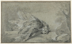 Dode vogel (snip?) by Jean-Baptiste Oudry