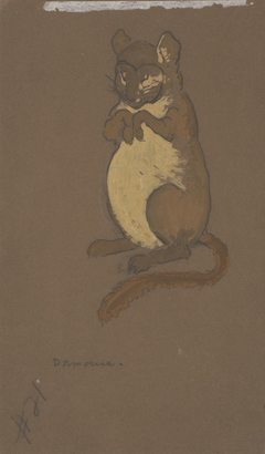 Dormouse (costume design for Alice-in-Wonderland, 1915) by William Penhallow Henderson