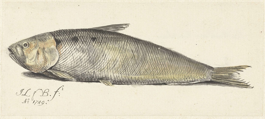 Exhibit image