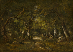 Forest Scene by Narcisse Virgilio Díaz