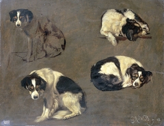 Four Studies of a Dog by Guillaume Anne van der Brugghen