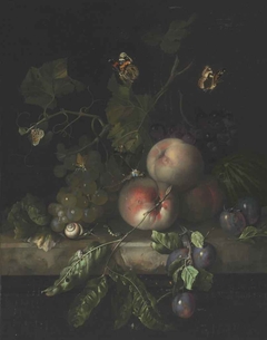 Fruit still life with insects on a marble slab by Rachel Ruysch