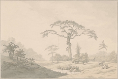 Gezicht bij een hoeve in Suriname by Nicolaas Box