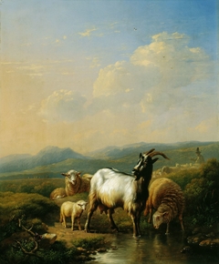 Goats and Sheep by Eugène Verboeckhoven