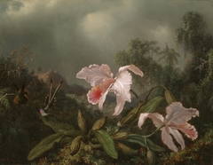 Jungle Orchids and Hummingbirds by Martin Johnson Heade