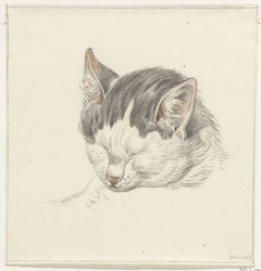 Kop van een kat, van voren by Jean Bernard