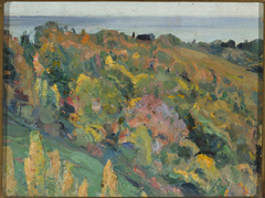 Landscape study by Mikhail Nesterov