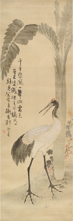 Manchurian Crane Standing beside a Banana Palm by An Jung-sik