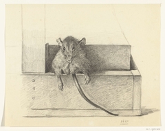 Muis (in een val?) by Jean Bernard