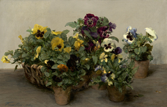 Pansies by Henri Fantin-Latour