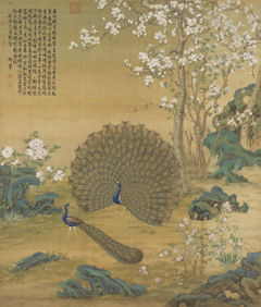 Peacock Spreading Its Tail Feathers by Giuseppe Castiglione