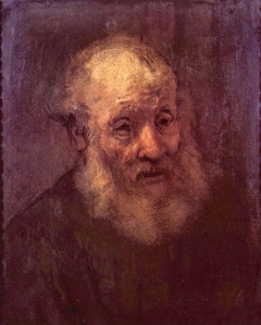 Portrait of a Bearded Old Man by Rembrandt