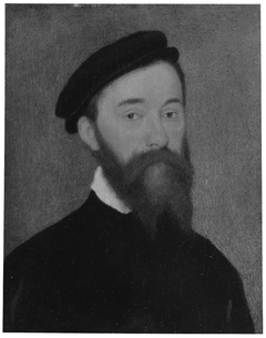 Portrait of a Man with Brown Beard by Corneille de Lyon