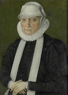 Portrait of a Woman, probably Anna Jagellonia, Queen of Poland by Unknown Artist