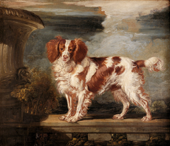 Portrait of Dash, a Favourite Spaniel, the Property of Lady Frances Vane-Tempest by James Ward