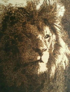 Potrait of a lion by Farai Richard Ronald Mahati