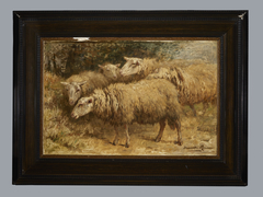 Schapen, Henriëtte Ronner-Knip, circa 1850 by Henriëtte Ronner-Knip