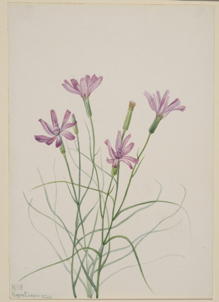Exhibit image