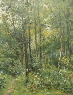 Sous-bois (après la pluie), Sauheid by Richard Heintz