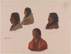 Studies of Indian Chiefs Made at Fort Laramie by Albert Bierstadt