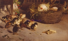 The death of the chick by Luigi Nono