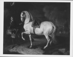 The Favourite Horse of the Duke of Modena by Johann Georg de Hamilton