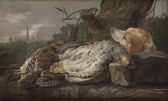 Tote Rebhühner mit Jagdhund by Jan Fyt