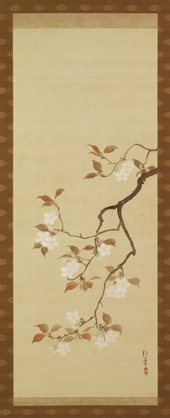 Triptych of the Seasons: Cherry Blossoms by Sakai Hoitsu