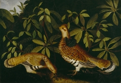 Two Ruffed Grouse in Underbrush by Rubens Peale