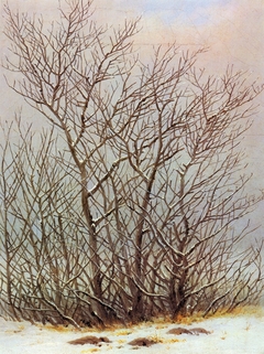 Bushes in the snow by Caspar David Friedrich