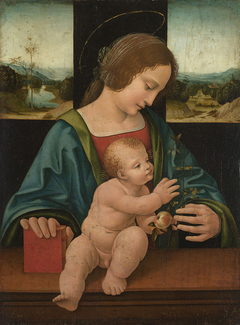 The Virgin and Child by Giovanni Antonio Boltraffio