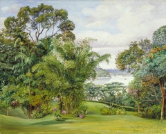 View of the River from the Rajah's Garden, Sarawak, Borneo by Marianne North