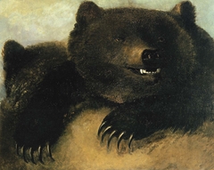 Weapons and Physiognomy of the Grizzly Bear by George Catlin