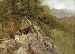 Western Landscape by John Frederick Kensett